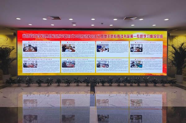 國內(nèi)有哪些COB顯示屏廠家做得比較好的？